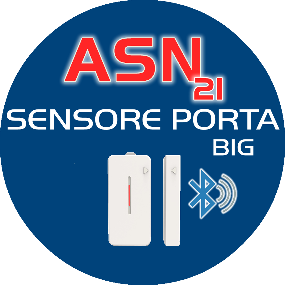 ASN 21 SENSORE PORTA BIG