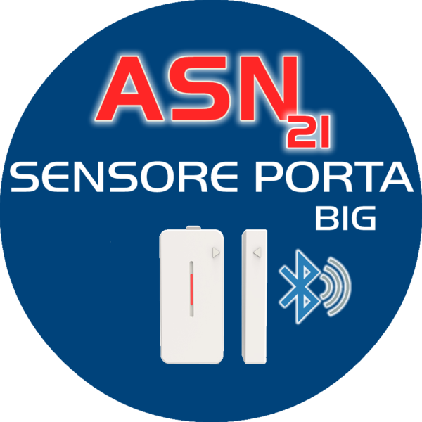 ASN 21 SENSORE PORTA BIG